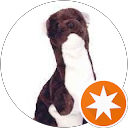 Liz L profile picture